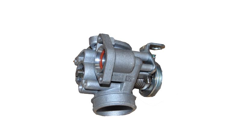 GAZ KELEBEĞİ BOŞ (BAYBERRY125)